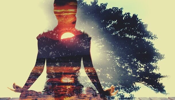 Wu wei, a arte da não ação