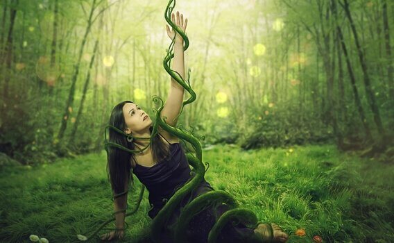 Quando os 'deveria' controlam nossas vidas