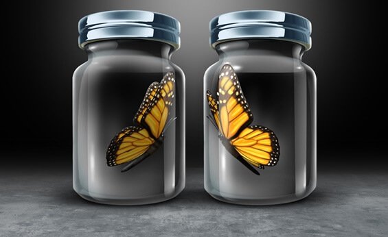 A reciprocidade assimétrica, um obstáculo nas relações humanas