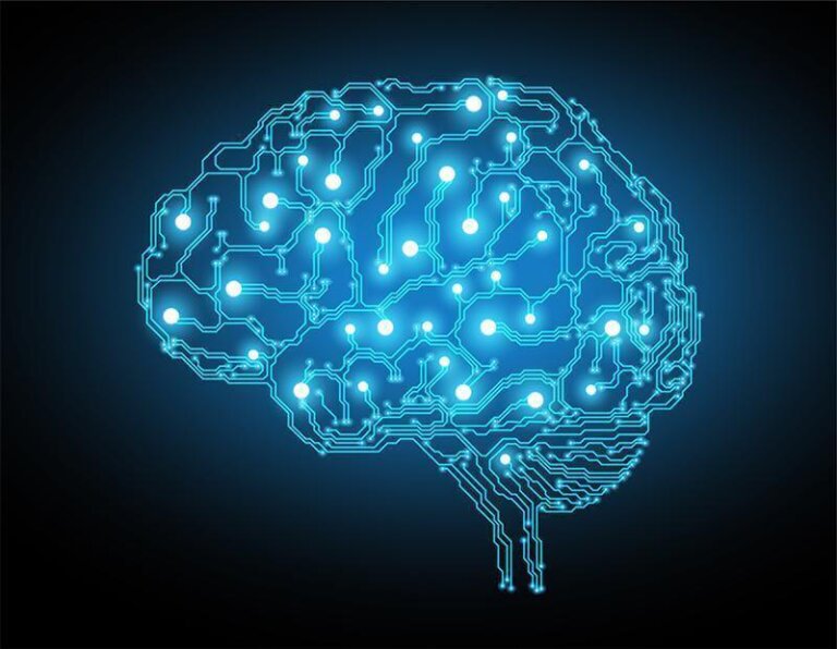 Brenda Milner: uma vida dedicada à neuropsicologia