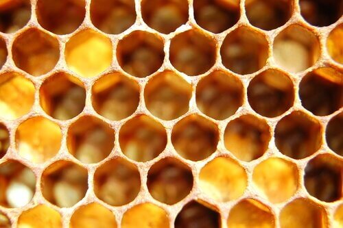 Tripofobia: sintomas, causas e tratamento