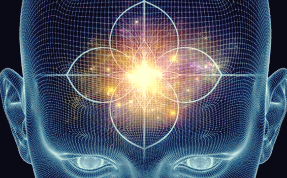 Glândulas pituitária e pineal: funções e características