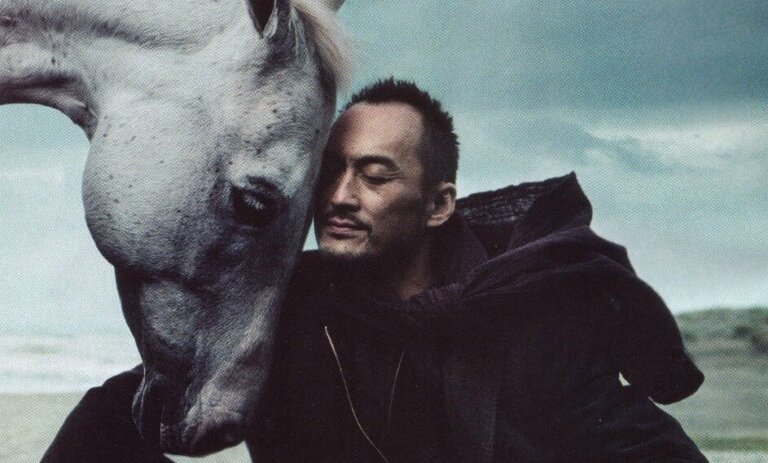 Equilíbrio humano: O cavaleiro racional e o cavalo emocional