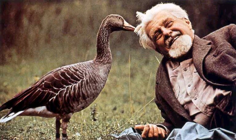 Konrad Lorenz: um legado para despertar para a vida