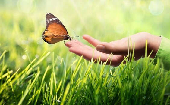 Comunicação cinestésica: por que ela é tão importante?