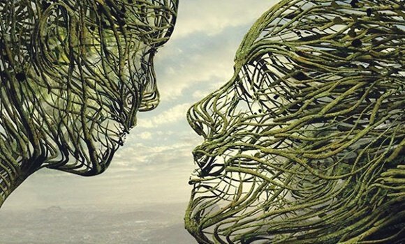 O cérebro empático: o poder da conexão humana