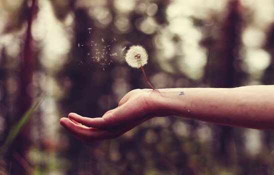 Curar a ferida de uma traição