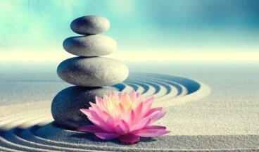 7 mandamentos zen para mudar de vida