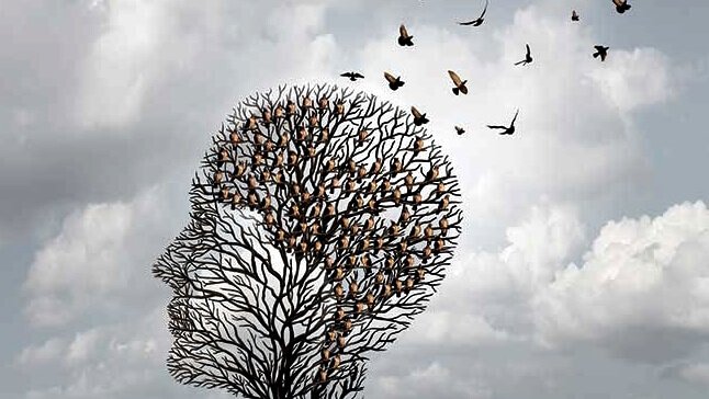 A TREC de Albert Ellis