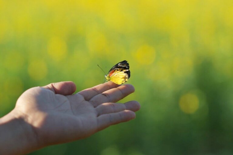 Aprenda a fechar ciclos de forma adequada