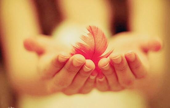 Gentileza, uma força que derruba qualquer parede