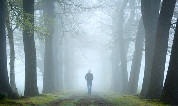 Teste do bosque, um exercício da psicanálise relacional