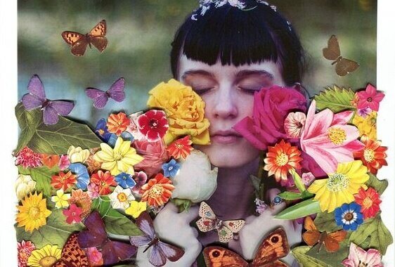 Todas as emoções são aceitáveis, todos os comportamentos não