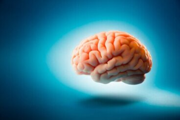 6 curiosidades sobre o cérebro que você provavelmente não conhecia