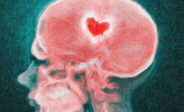 O cérebro diante de uma separação: a ciência dos corações partidos 