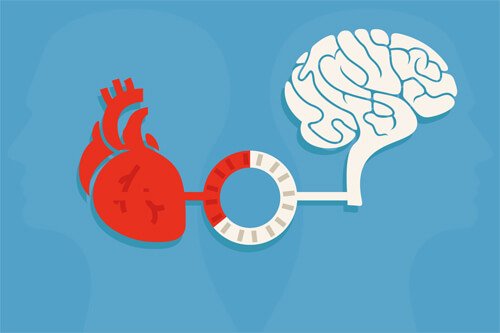 Razão e emoção: o equilíbrio que produz boas decisões