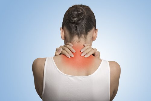Fibromialgia e probióticos: como eles estão relacionados?