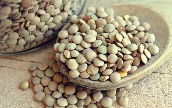 Benefícios do ácido fólico para a saúde cerebral