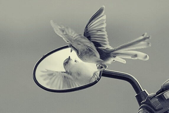 As armadilhas do ego que impedem o nosso crescimento pessoal