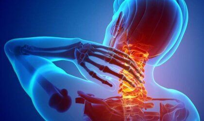 Nociceptores: os receptores de dor