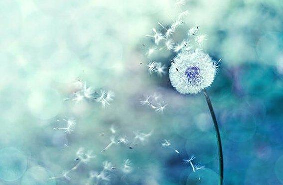 Quando as coincidências se acumulam, você está em um bom caminho