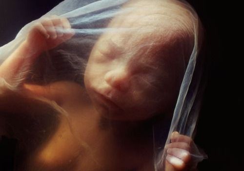 O trauma do nascimento e os seus efeitos