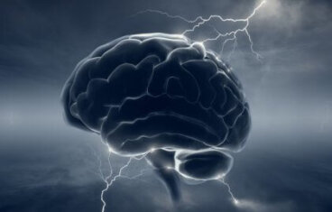Neurobiologia do psicopata: quando o cérebro perde a sua "humanidade"