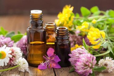 Aromaterapia, o maravilhoso poder dos cheiros