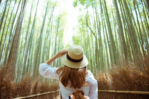 4 exercícios para alcançar uma conexão com a natureza