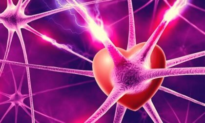 Os neurônios, os hormônios e o amor
