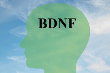 Como aumentar o BDNF, proteína-chave para células cerebrais saudáveis