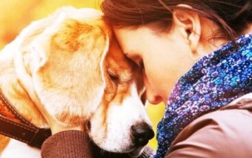 Os motivos que nos levam a amar um animal com tanta intensidade