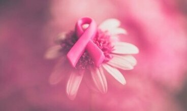 Câncer de mama: juntas podemos