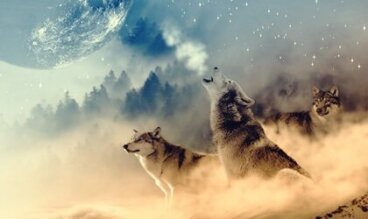 O que é a Medicina do Lobo, segundo os índios americanos