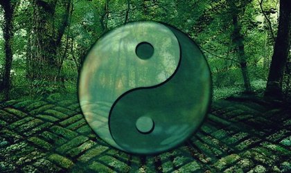 7 frases do Tao para evoluir