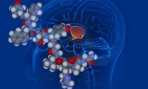 Vasopressina, o hormônio antidiurético