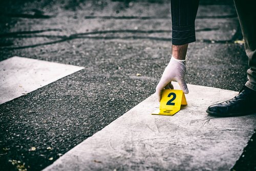 Crime organizado: motivos, oportunidades e funções
