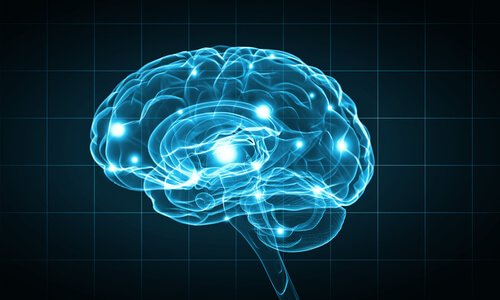 Métodos de pesquisa em biopsicologia