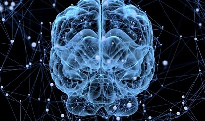 O cérebro descansa?