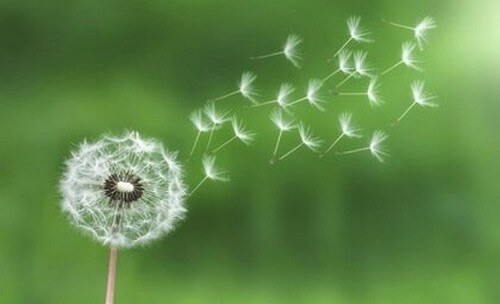 Lei do mínimo esforço para gerenciar o estresse