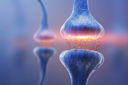 Tipos de sinapses: a comunicação neuronal