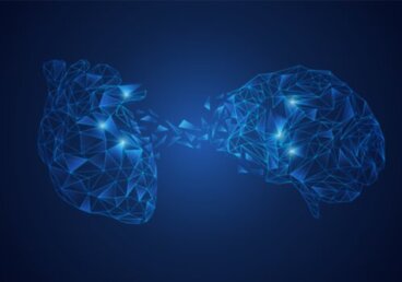 Modelo de integração neurovisceral: a conexão cérebro-coração