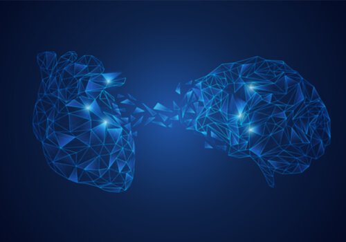 Modelo de integração neurovisceral: a conexão cérebro-coração