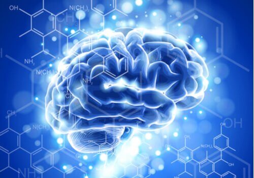 Neuroética: características e desenvolvimento