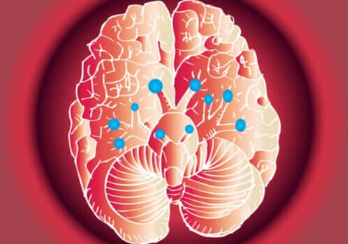 Os 12 nervos cranianos e suas funções