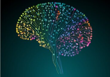 Projeto Conectoma Humano: descobrindo nosso cérebro a fundo