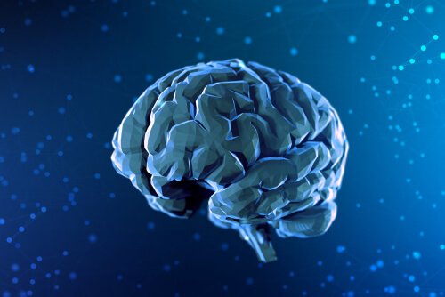 Breve história da neurociência