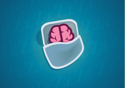 O que acontece em nossos neurônios durante o sono?