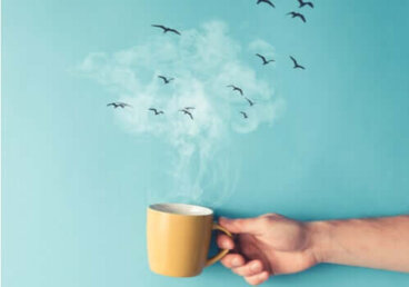 Sinética: características e técnicas