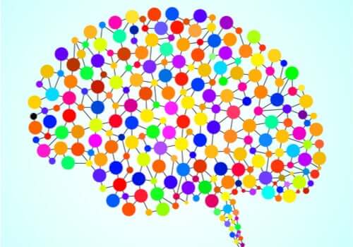 As 97 áreas do cérebro que não conhecemos